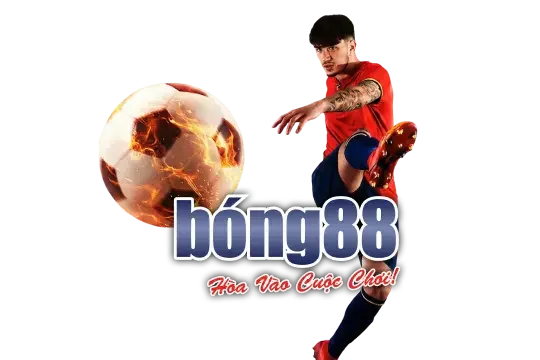 Đối tác nội dung